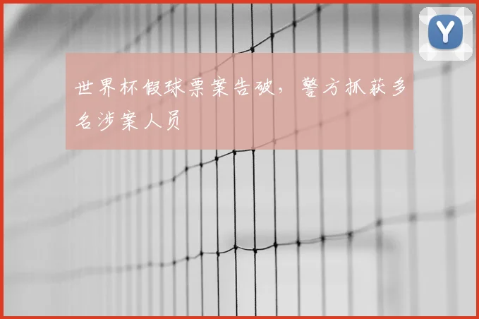 世界杯假球票案告破,警方抓获多名涉案人员