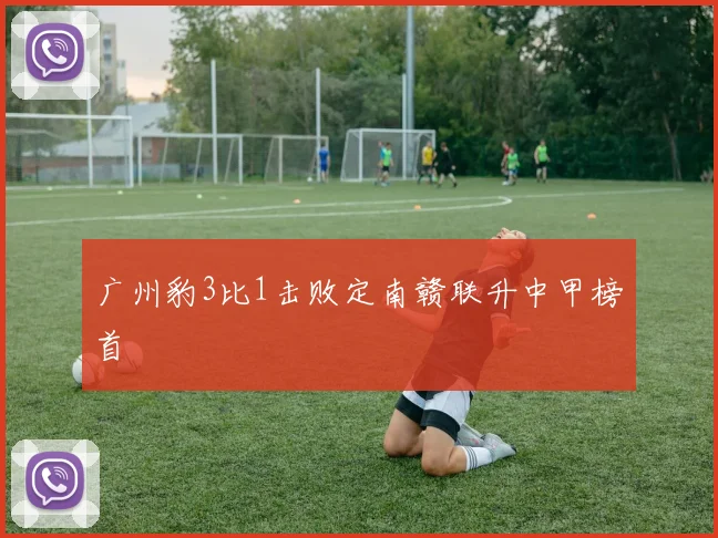 广州豹3比1击败定南赣联升中甲榜首